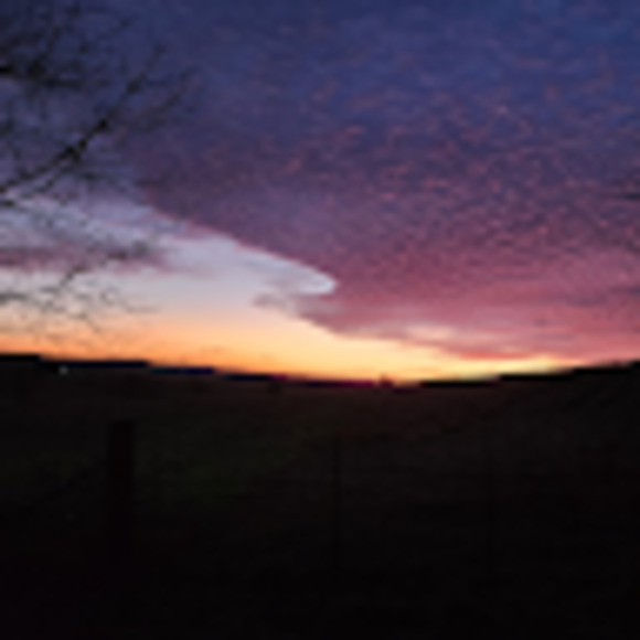 Meet your Posher, Waylon - Picture 1 of 1